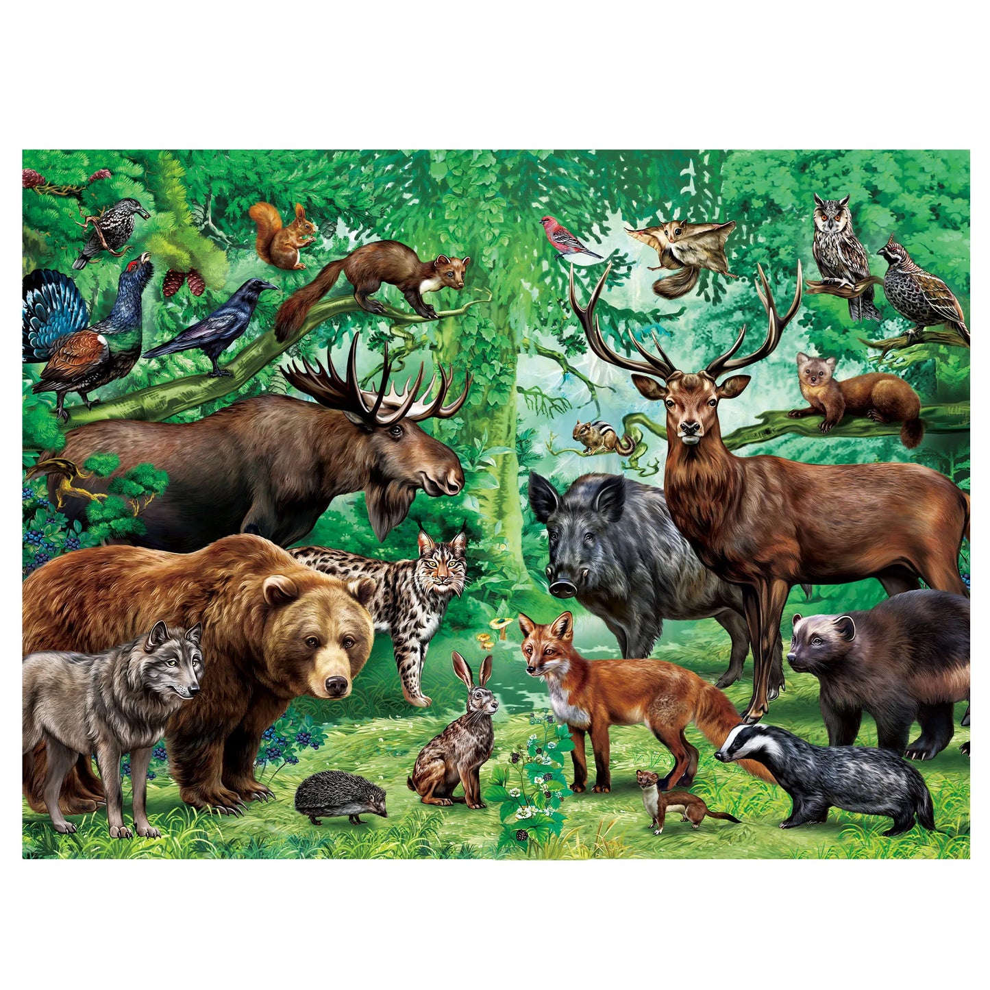 Puzzles for Kids 100 Piece